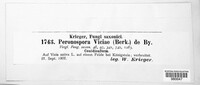 Peronospora viciae image